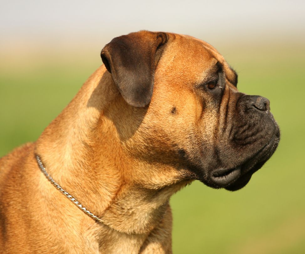 Question of the Week